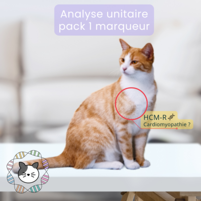 Analyse unitaire - pack 1 marqueur