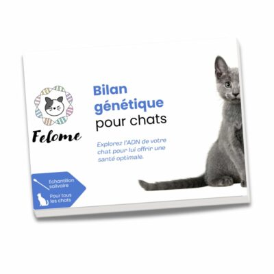 Bilan génétique pour chat