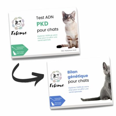 Mise à jour Test ADN PKD pour chats en bilan génétique