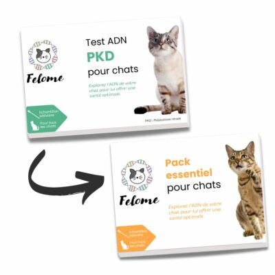 Mise à jour Test ADN PKD pour chats en pack essentiel