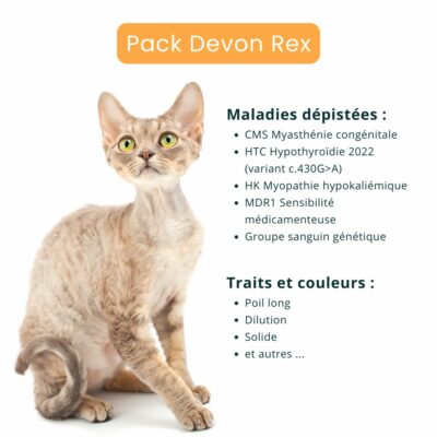 Pack Devon Rex