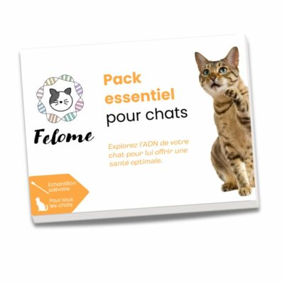 Pack essentiel pour chat