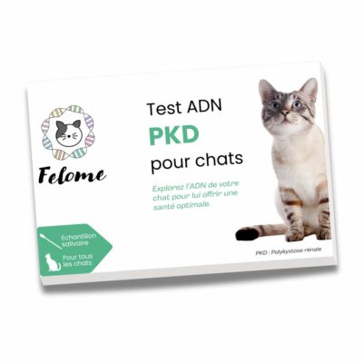 Test PKD pour chat