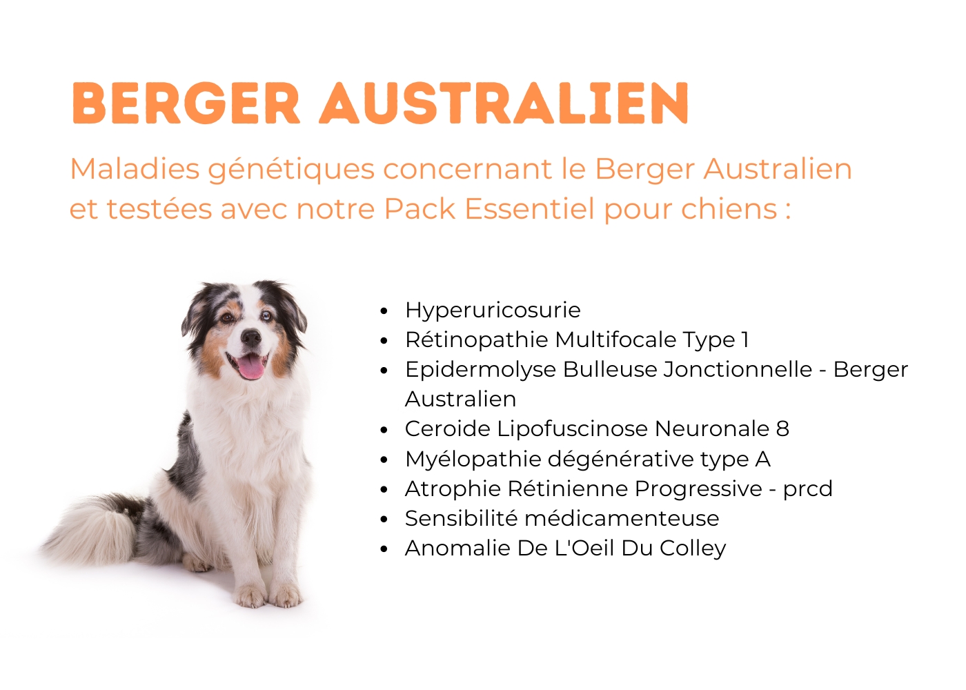 1 berger australien